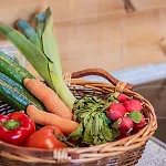 דירה Weingut Und Josef Huber אוברקירש