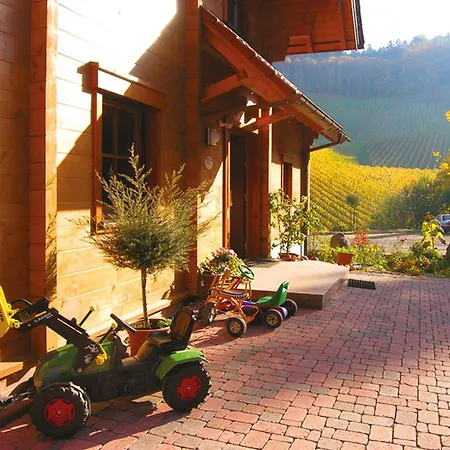 公寓 Weingut Und Josef Huber 奥伯基希