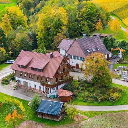 Weingut Und Josef Huber 公寓